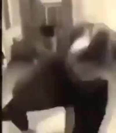 Ireland fuckers 🇮🇪