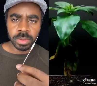 You are the blue line