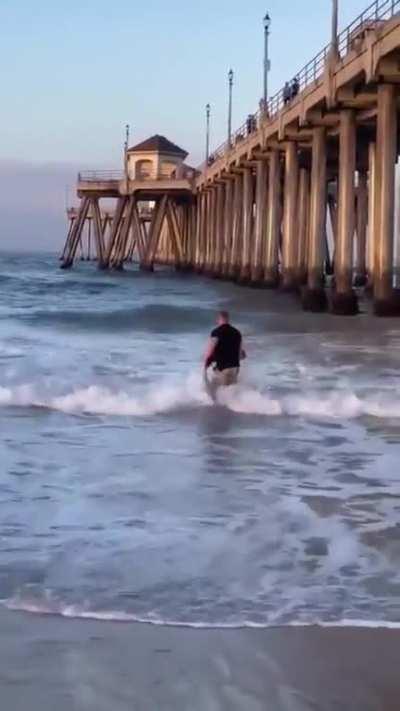 Saving Shark Get Him Back To Ocean