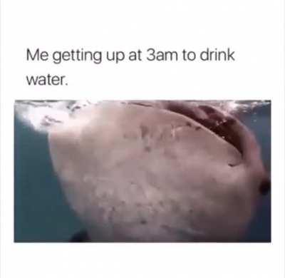 Thanks, I hate when this happens