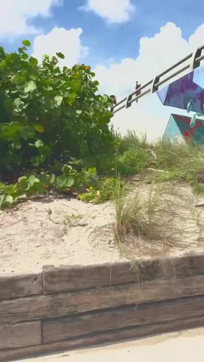 I wanted to show them my boobs but they wouldn’t turn around