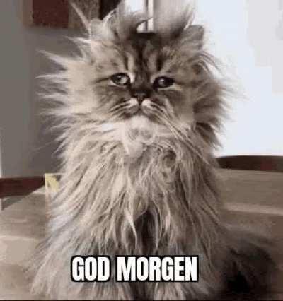 Danes waking up after a night out