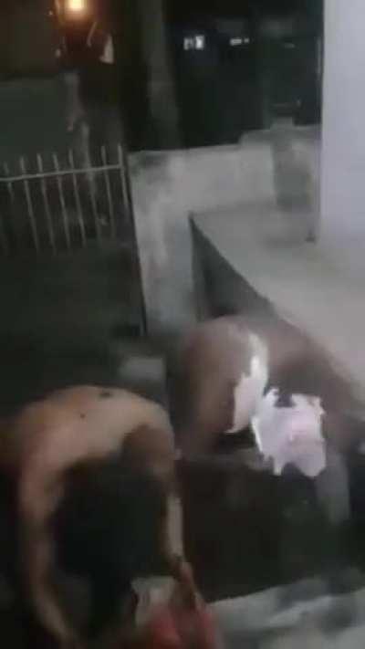 Two Character says no to racism..