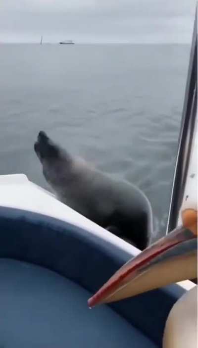 This is how the world should be