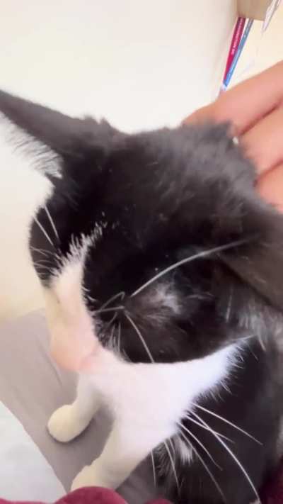 motor is working very well