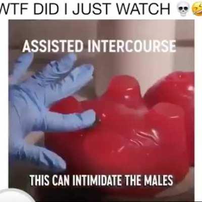 wtf did i just watch 🤣💀