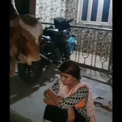 The Lady is pissed because She didn't come to meet him for two days!