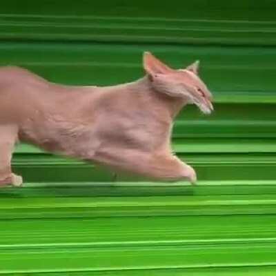 Когда решил срезать через 6-е измерение