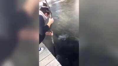 Breaking Ice with a stick