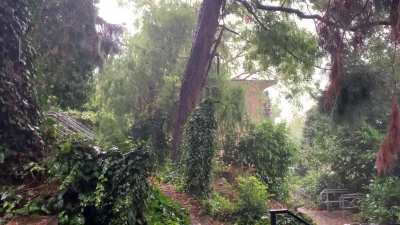 It decided to come down today.