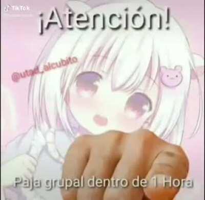 Calidad de la verga= buen shitpos hijo de puta