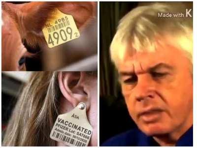 We are nothing but cattle to them!