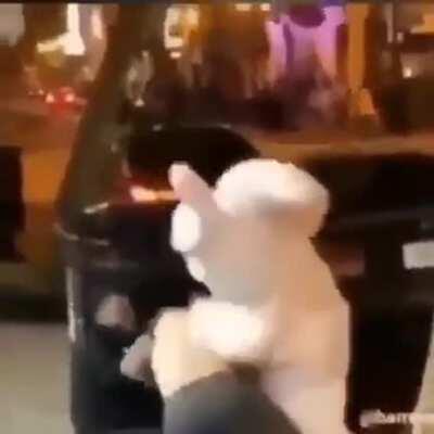 I would guess some sort of hispanic song? Maybe EDM?