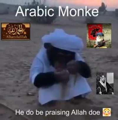 Arab monke