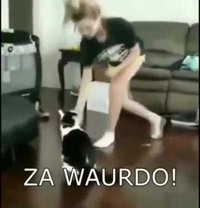 The battle of the century