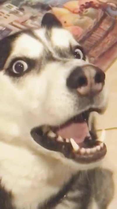 What? Wasn't me, I swear!