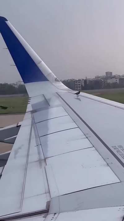 🐦‍⬛🐦‍⬛🐦‍⬛