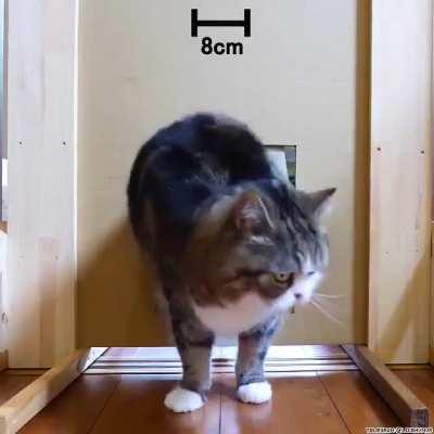 The rare moment when r/Aww and r/Science collide.