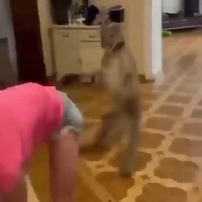 intercourse with thou mother