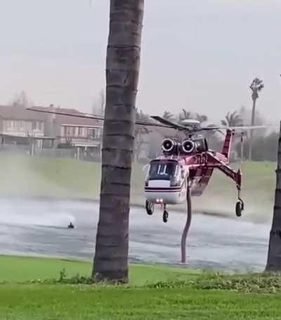 What you gonna do with that big fat butt?