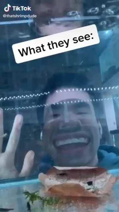 Not my video but this is me 😆