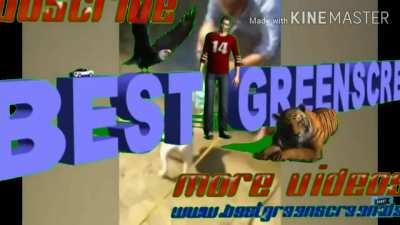 Allah Subnah Allah 🙏🙏🙏الدب يؤلم الدب يناديfunny movie about sex 😂😂🤮🤡🌞