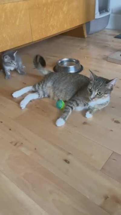 Being a single mother is hard!