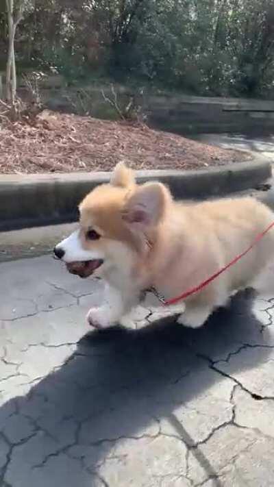 Just the two of us (me & my pinecone).