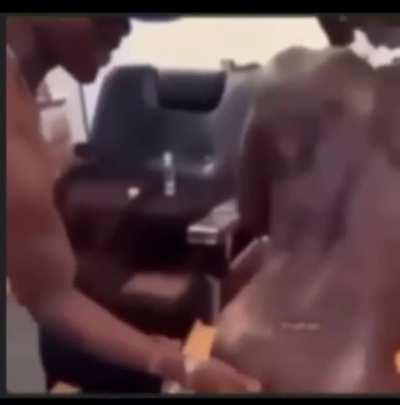 Any one got Full vid?