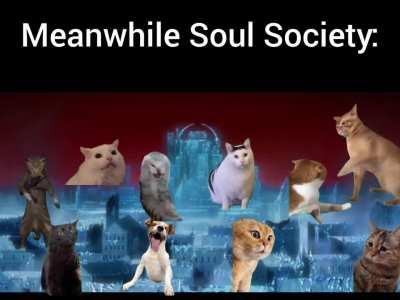 Ichigo when he returns: What the hell happened here?