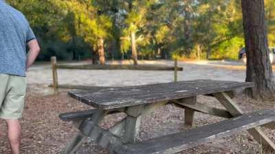 Looked up and there was a couple watching us 🙈😅