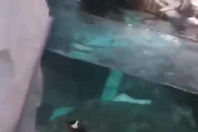 trying to use windows after already using linux be like