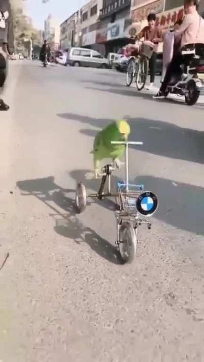 A different BMWð