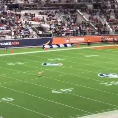 HMK while Dog breaks world record by catching 83 yard frisbee toss