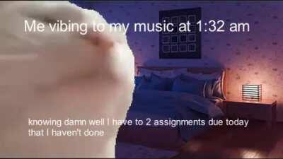 Relatable cat vibe (OC)