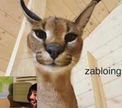 does zabloing count as a floop?