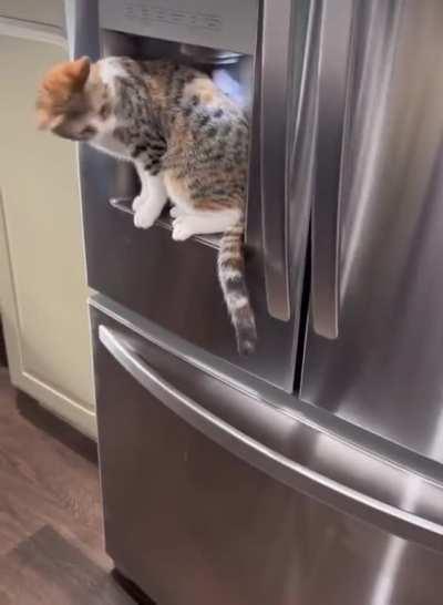 Figured out a new way to make a mess