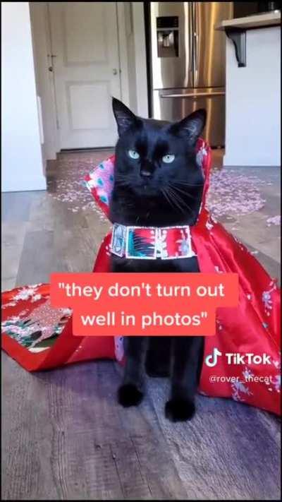 This TikTok says it all...