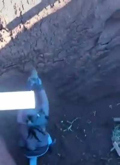 It was all smiles and pets during the rescue