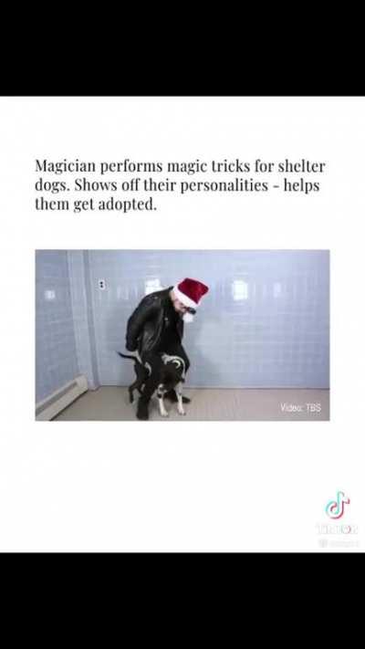 Cali wasn't having any of that