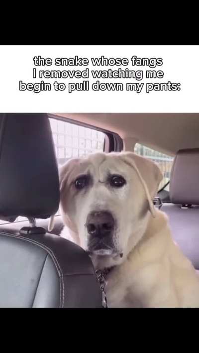 I'd leave the fangs for a lil resistance