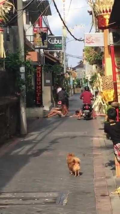 WCGW Lying And Blocking The Road