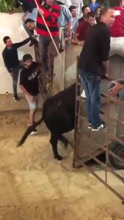 Let me just smack that bull really fas...