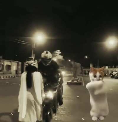 Aur karlo stunt😂😂