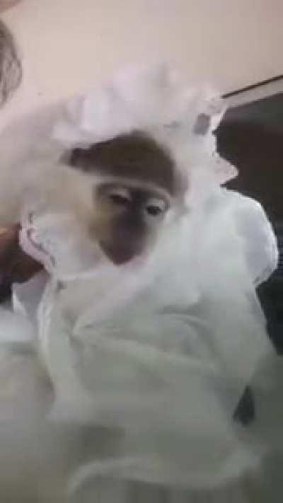 Eski SD Karttan Çıkanlar#10