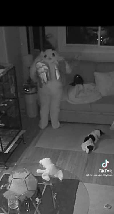 Woman has a case of chronic sleepwalking