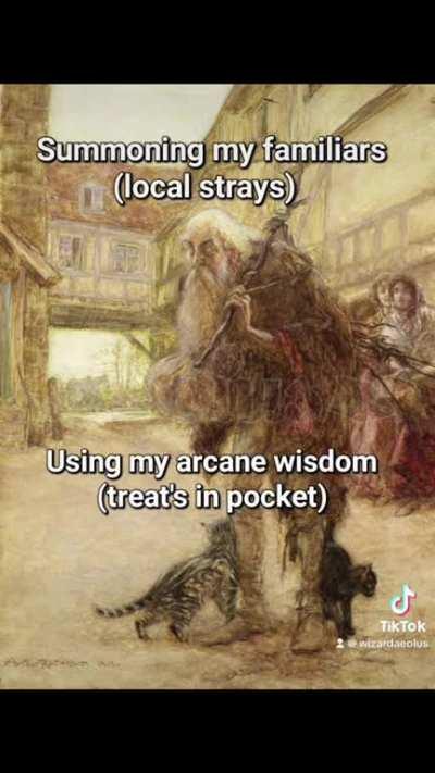 Wizard voices wizard memes Pt 2