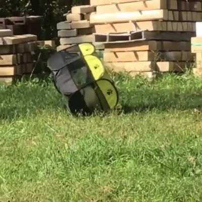 This ain't stopping me.