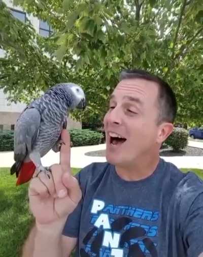 is my mom getting scammed from this parrot breeder? she’s trying to buy a bird online