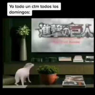 la vidas la la vi vi vidas!!!